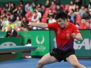 乒乓球入门技巧全解析（新手如何打好乒乓球，15个关键技巧帮你快速进步）