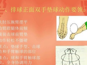 掌握以背向发球为主的排球动作要领（背向发球的技巧和步骤，让你成为出色的发球手）