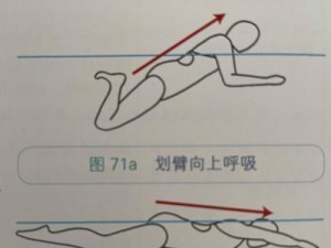 慢动作蛙泳技巧详解（提高游泳换气能力的必备技巧）