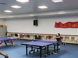 乒乓球高球防守技巧全解析（掌握高球防守技巧，提升乒乓球水平）