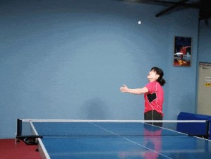 初学者乒乓球练习技巧指南（提高技术水平的关键要点和方法）