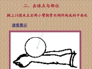 打造高水平垫球技术——掌握排球垫球的关键（从基本动作到技巧细节，提升你的垫球能力）