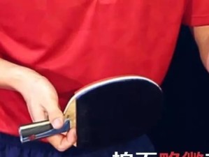 马龙乒乓球反手打法与技巧解析（提升乒乓球反手水平的关键技巧与训练方法）