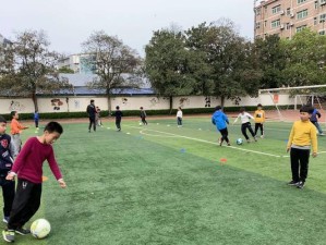 打造花式足球高手——足球传球技巧训练（掌握关键传球技巧，成为足球明星）