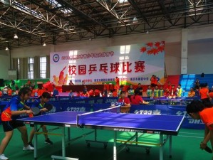 乒乓球创世纪2019（掌握精湛技巧，成就乒乓之王）