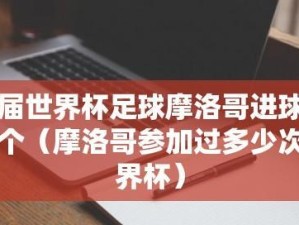 《世界杯经典进球一网打尽》（回顾历届世界杯中最经典的15粒进球，激发足球热情）