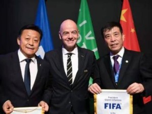 世界杯国家举办权（解析世界杯国家举办权的演变与争议——以FIFA为）