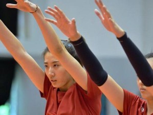 掌握排球基本功步伐动作，提升技术水平（从基础开始，成为排球高手）