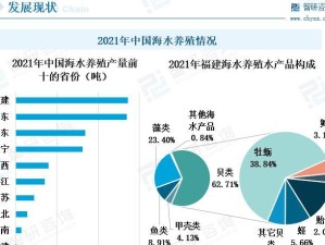 乒乓球行业的热点聚焦（探索乒乓球产业发展的新路径——以技术创新为）