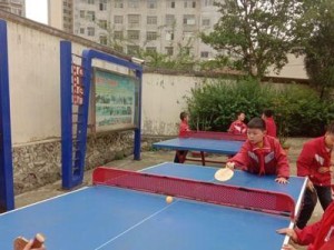 小学生乒乓球抽杀技巧大揭秘（学习乒乓球抽杀技巧，成为小球王！）