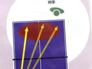 乒乓球直拍发球技巧训练（提高乒乓球直拍发球技巧的有效方法）
