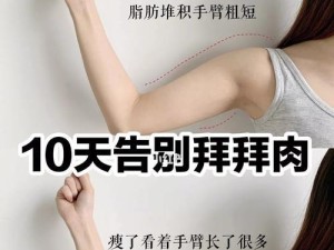 排球训练（以排球为工具，通过科学训练瘦身塑形）