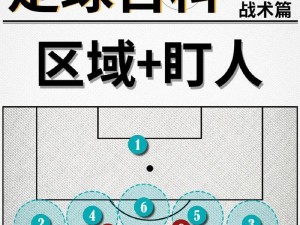 足球老将的技巧教学——经验传承的关键（掌握技巧，掌握胜利的秘密）