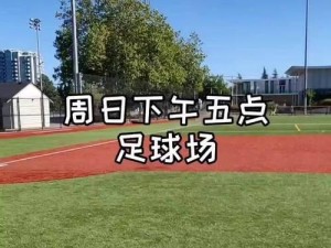 提升你的球技！野球足球实用技巧大揭秘（掌握关键技巧，成为球场上的明星）