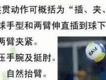 排球发球的基本要领（掌握发球技巧，提升比赛表现）