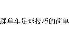 小学足球教学技巧与方法——让孩子爱上足球的关键（从趣味性到技术性，如何有效地教授足球知识）