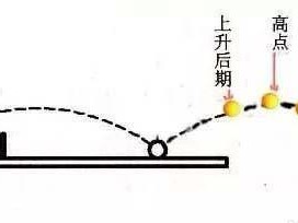 乒乓球发球区域的战略使用（提升技术水平的关键——掌握发球区域的旋球发球技巧）