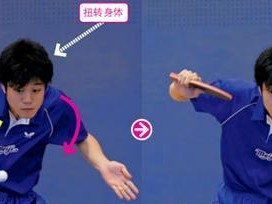 乒乓球比赛技术技巧大全（提升你的乒乓球水平，掌握关键技巧）