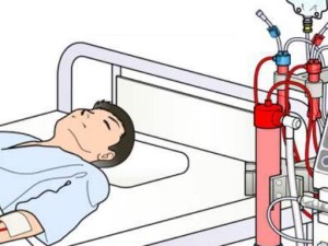 游泳控水技巧与方法（有效学习游泳的关键是掌握水中的技巧和方法）