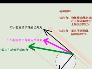 直板乒乓球弧圈球的魅力与技巧（掌握击球技巧，畅享乒乓球的快乐）