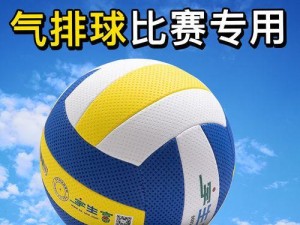掌握气排球二传技术的关键要领（打造精准稳定的二传利器，探秘二传技术的窍门）