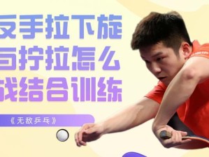 乒乓球初学者训练技巧全解析（从零开始，打出乒乓球高手的水平！）