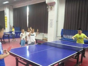 乒乓球1v1过人技巧大全（提升你的乒乓球对抗能力，掌握高效过人技巧！）