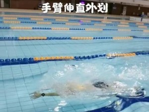 掌握划水游泳的技巧（游泳初学者必备，从零开始学习划水技巧）