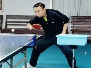 精通乒乓球反手拨球技巧的秘诀（如何提升乒乓球反手拨球水平）