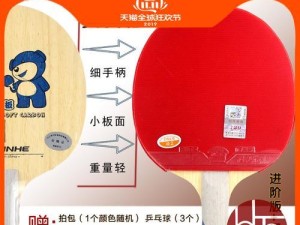 乒乓球53是什么？（探索乒乓球53的历史、规则和影响力）