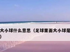 足球大小球预测技巧分析（揭秘背后的数据和策略）