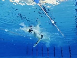 水中世界的畅游之道——水族馆游泳技巧大全（探索水中乐园，畅游水族馆，尽享潜水乐趣）