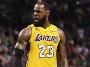 NBA历史身体素质排行榜（从速度到力量，从敏捷到弹跳，揭示NBA历史最出色的身体素质）